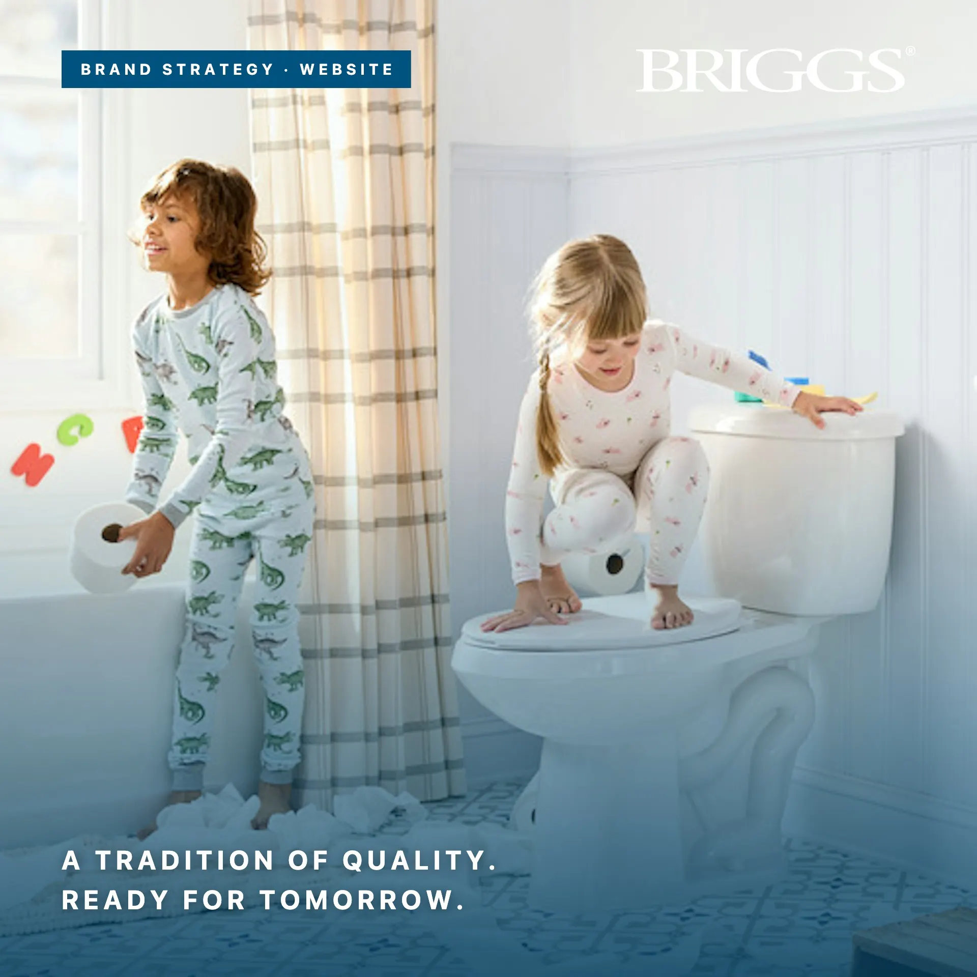 Briggs - Brand Strategy