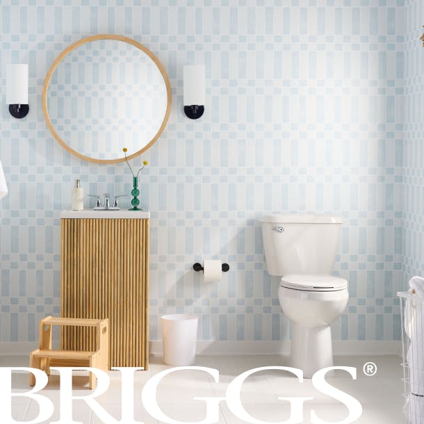 Redefining the Briggs Brand